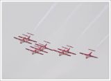 The Snowbirds Up and Away