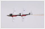 The Snowbirds 2006