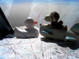 Jetje and Snoopy navigating thourgh Africa