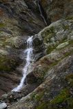 IMG_0527.jpg