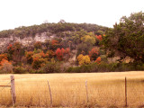 11-3-08Z6 Texas Hillcountry 10.jpg