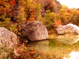 11-3-08Z6 Texas Hillcountry Lost Maples 4.jpg