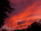 12-3-08Z6 Sunset 5.jpg