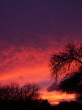 2-8-09SunsetZ6 3.jpg