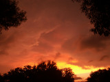 9-8-2010 Tropical Storm Sunset 4.jpg