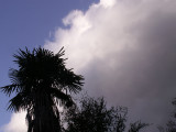 1-20-2011 Cold Front 6.jpg