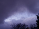 1-20-2011 Cold Front 8.jpg