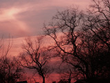 1-26-2011 Cirrus Sunset 1.jpg