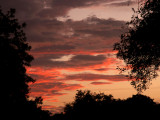 9-1-2012 Sunset.jpg