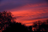 Sunrise on the Last Day of Autumn 2007.jpg