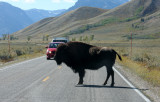 how to stop traffic in WY