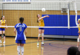 youth volleyball *all galleries*