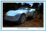 Corvette 1969 Giant Replica 2.jpg