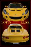 Cars Lotus 06 Elise Poster.jpg