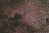 NGC 7000