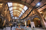 Natural History Museum