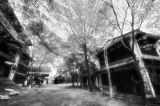 Tang Dynasty City