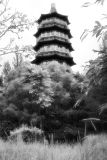 Tang Dynasty City