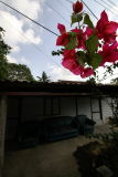 Kampung Lor. Buangkok