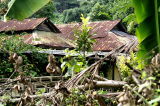 Kampung Lor. Buangkok