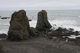 4-11-09 Lost Coast_4395.JPG