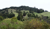 4-11-09 hills of the lost coast calif_4379.JPG