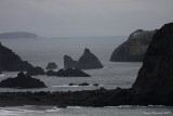 4-8-09 N Calif Coastline base of Kings Ridge_4286.JPG