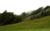 4-8-09 kings ridge_4208.JPG