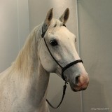 5-20-09 Camella_5521.JPG