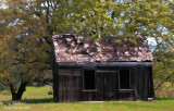 4-22-2010 home sweet home_3217c2sim - .jpg