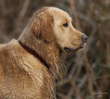 2-14-08 Cody_7429.jpg