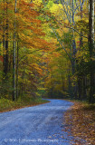 Great Smoky Mountains Fall 2010