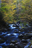 Great Smoky Mountains Fall 2010