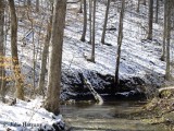 Creek in the Snow