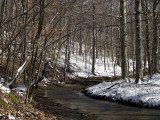 Creek in the Snow 2