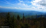 Clingmans Dome