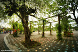 People's Park garden