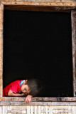 boy in the window