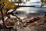 Pod-ok Mangrove, Zamboanga del Sur