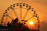 Circles of Life
