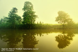 Agusan Marsh on a misty morning