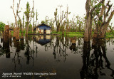 Floating house in Agusan Marsh