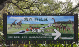 Safari billboard