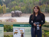 Me and the elephants