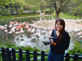 Me and the flamingos in China