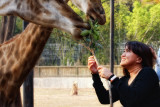 Me and giraffes