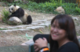 Me and Panda