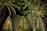 Palms and a taste of Gaudi (3)
