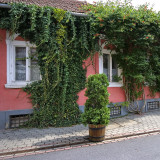 tomasz pawelek- budapest neighbouring towns - 016.jpg
