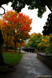 canon row in Old Quebec City